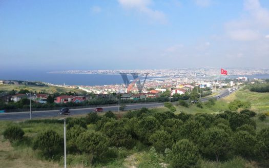 Avenue Istanbul